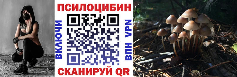 Псилоцибиновые грибы GOLDEN TEACHER  Прокопьевск 